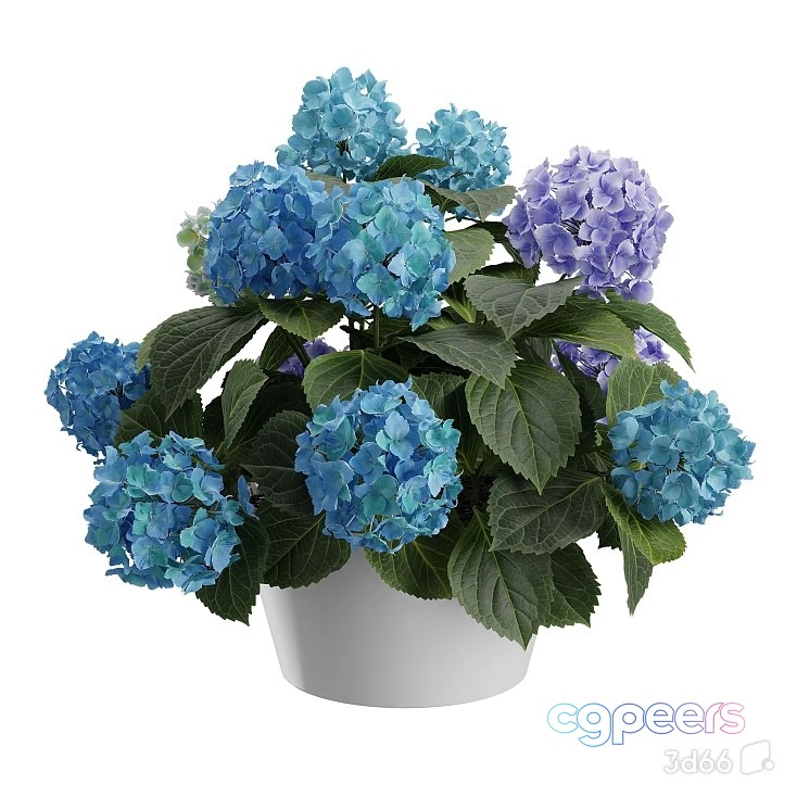 Blue Flower Plant 3D Model - 18607 - VRAY Render Blue Flower Plant 3D Model - 18607 - VRAY Render