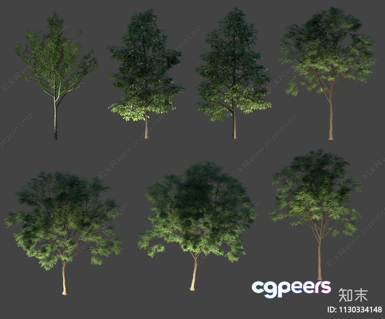 A Tree With Green Leaves 3D Model - 6339 - VRAY Render A Tree With Green Leaves 3D Model - 6339 - VRAY Render