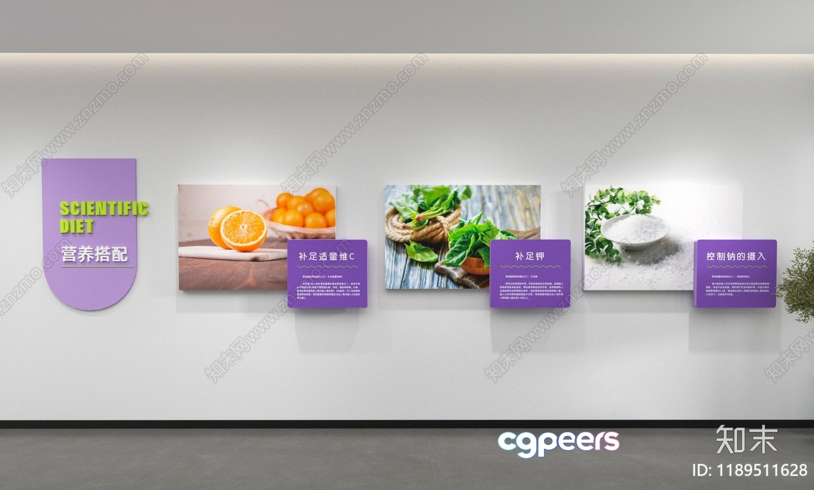 A Wall Featuring A Series Of Pictures With The Main Subject 3D Model - 18810 - VRAY Render