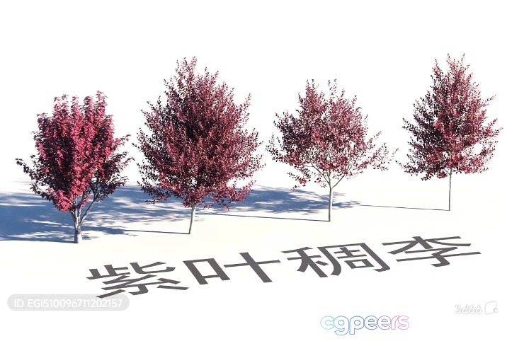 Three Small Trees With Pink Leaves And A Chinese Text 3D Model - 17842 - VRAY Render