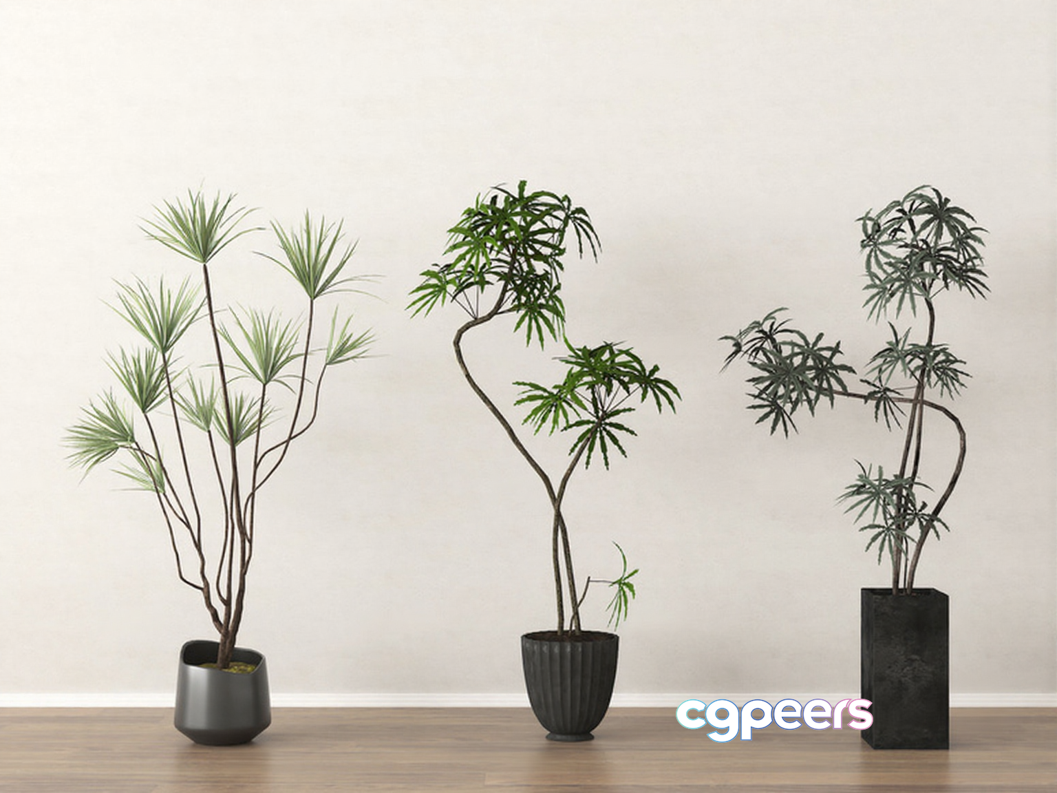 Three Potted Plants 3D Model - 18439 - VRAY Render Three Potted Plants 3D Model - 18439 - VRAY Render