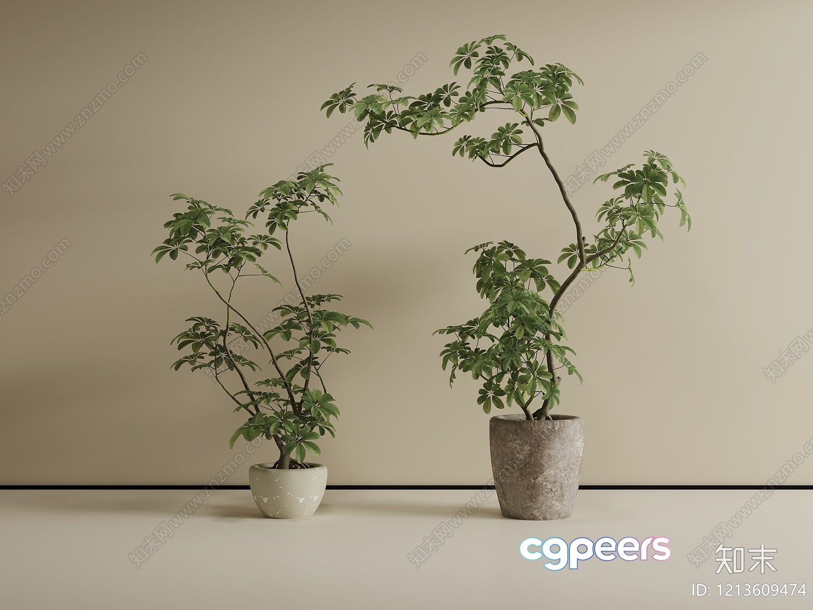 Two Potted Plants 3D Model - 5975 - VRAY Render