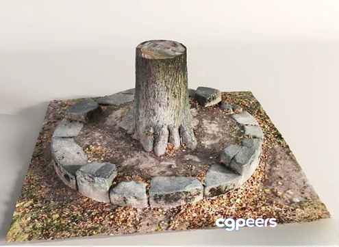 A Tree Stump 3D Model - 14549 - VRAY Render A Tree Stump 3D Model - 14549 - VRAY Render