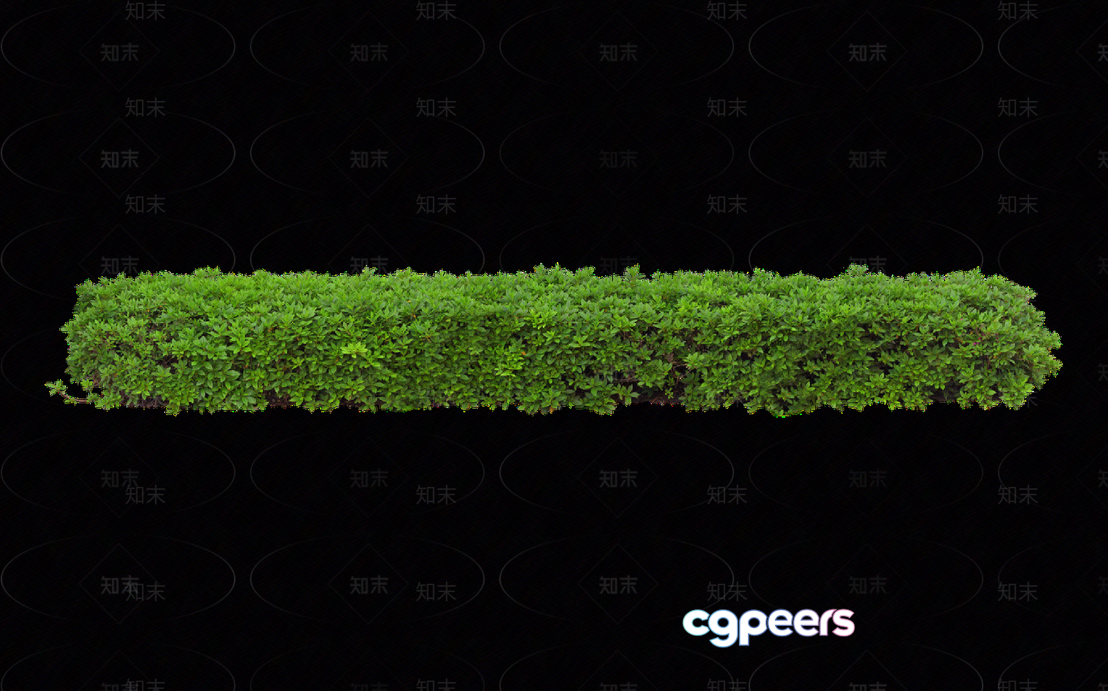 A Green Bush 3D Model - 11376 - VRAY Render