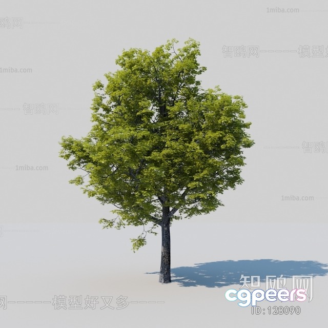 A Tree With Green Leaves 3D Model - 10846 - VRAY Render A Tree With Green Leaves 3D Model - 10846 - VRAY Render