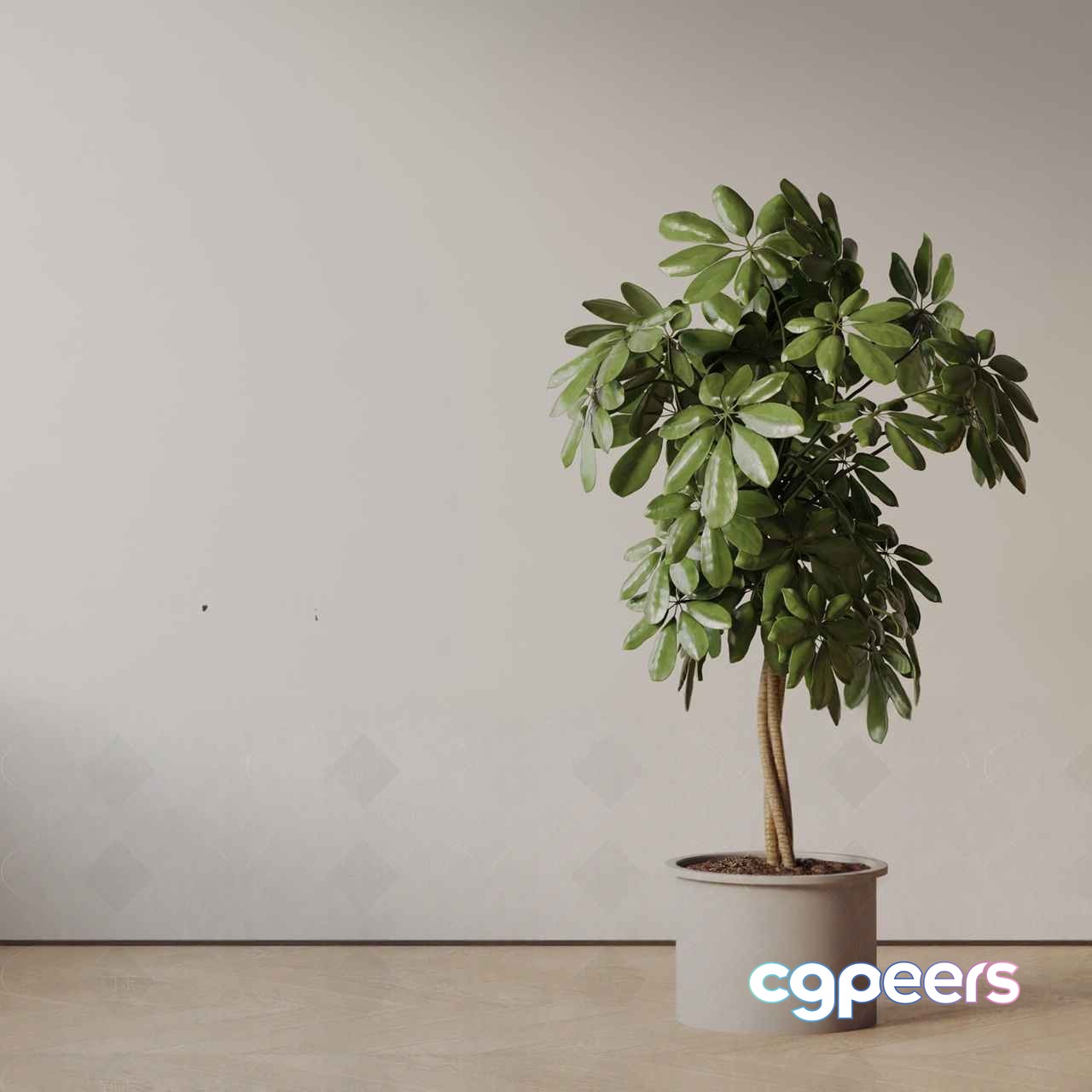 A Potted Plant 3D Model - 11219 - VRAY Render