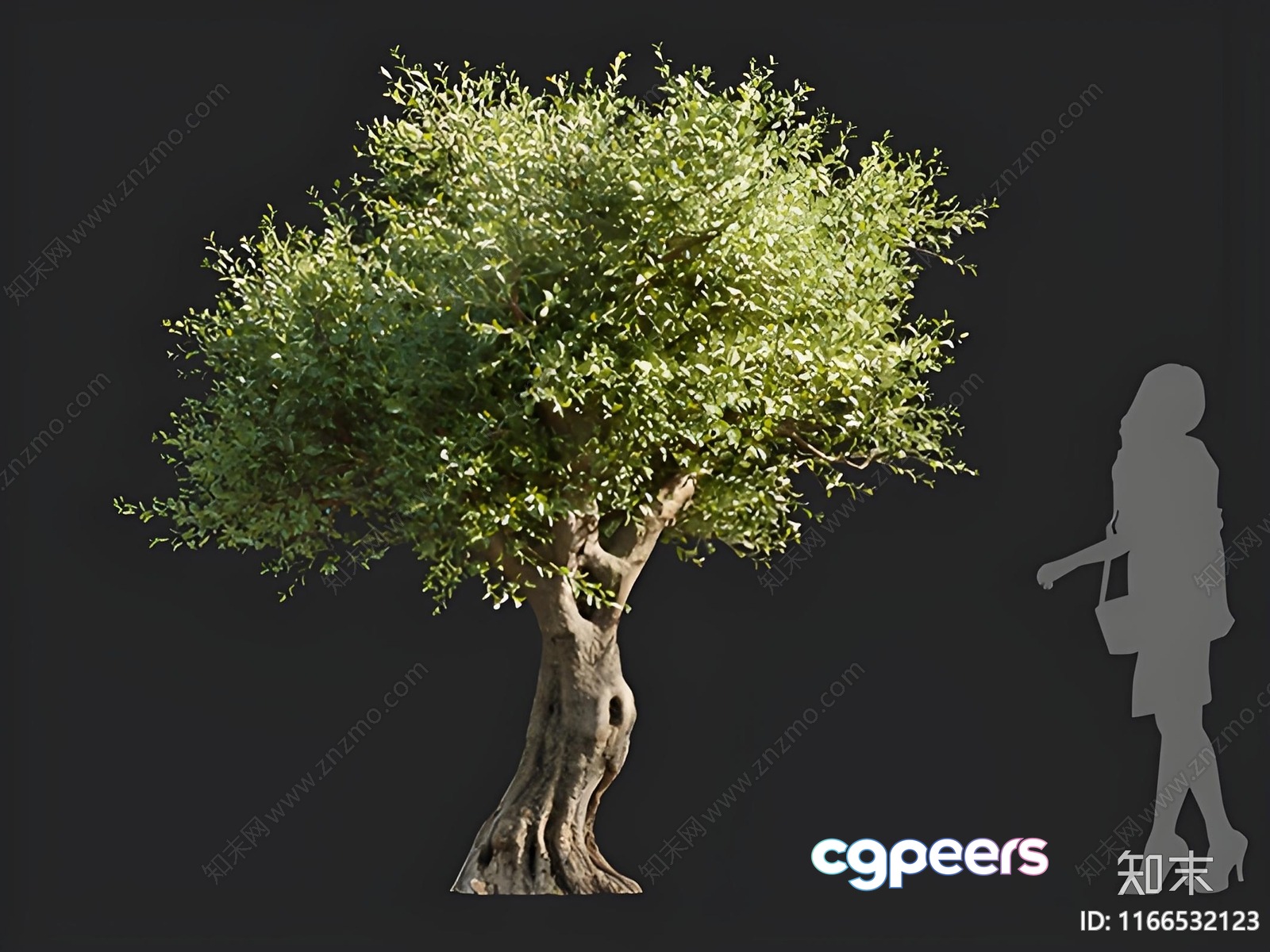A Tree With A Woman Standing Next To It 3D Model - 11472 - VRAY Render A Tree With A Woman Standing Next To It 3D Model - 11472 - VRAY Render