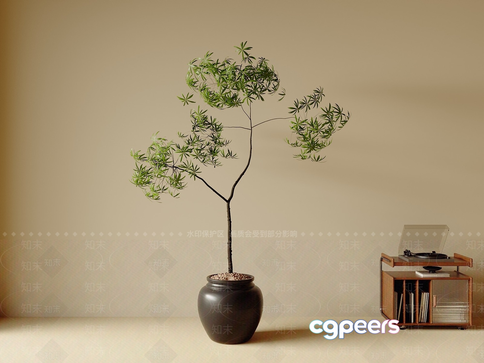 A Plant In A Pot 3D Model - 3233 - VRAY Render