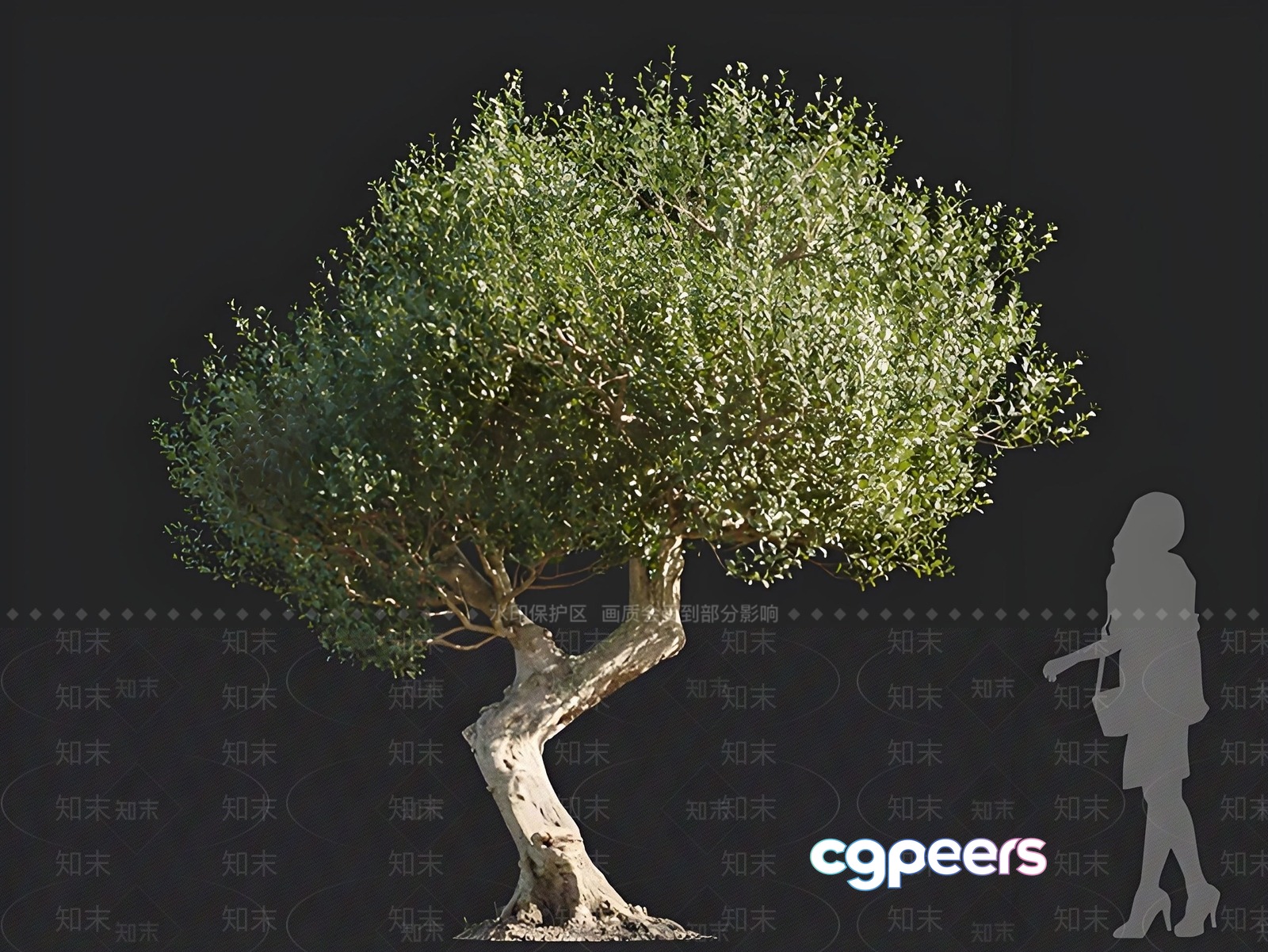 A Tree With A Woman'S Silhouette 3D Model - 16383 - VRAY Render