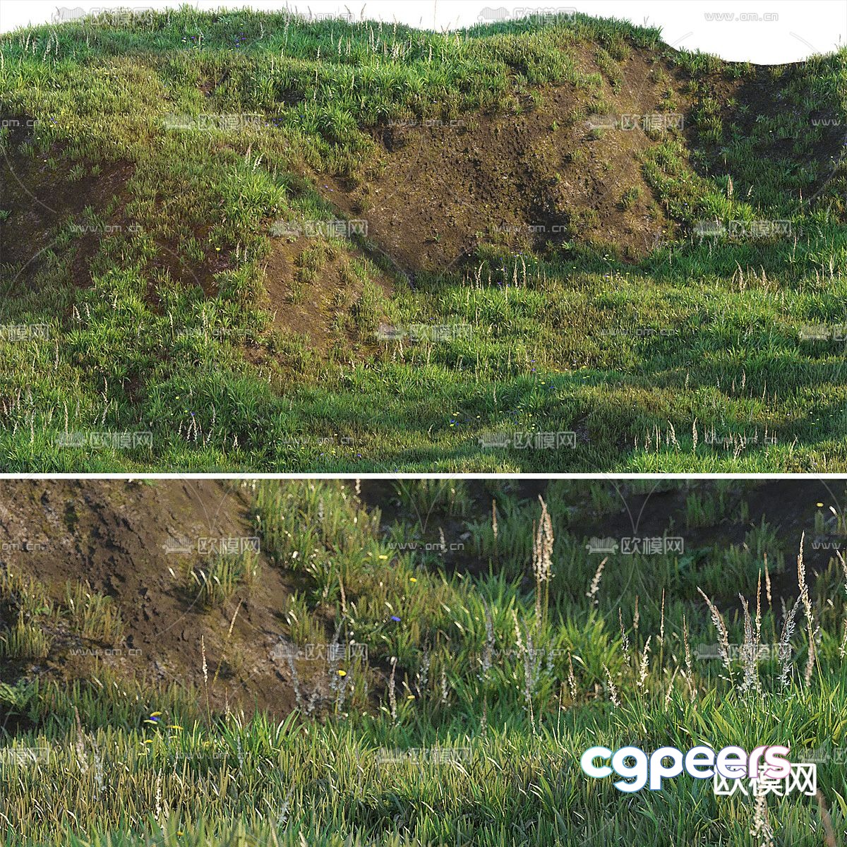 A Grassy Hillside 3D Model - 17107 - VRAY Render