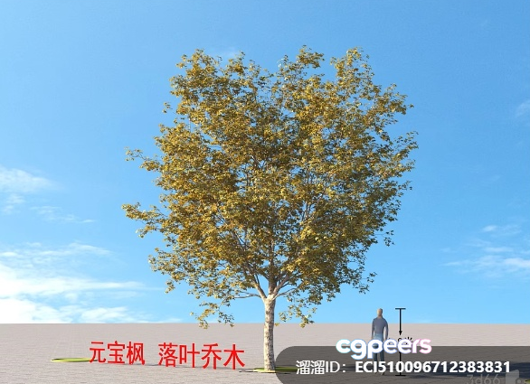 A Tree In A Desert 3D Model - 4197 - VRAY Render A Tree In A Desert 3D Model - 4197 - VRAY Render