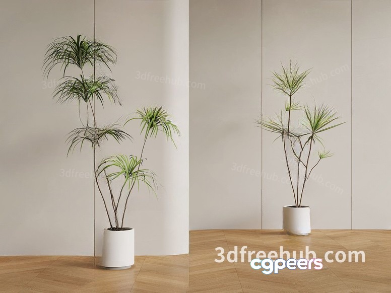 Modern House Plants 3D Model - 21965 - VRAY Render Modern House Plants 3D Model - 21965 - VRAY Render