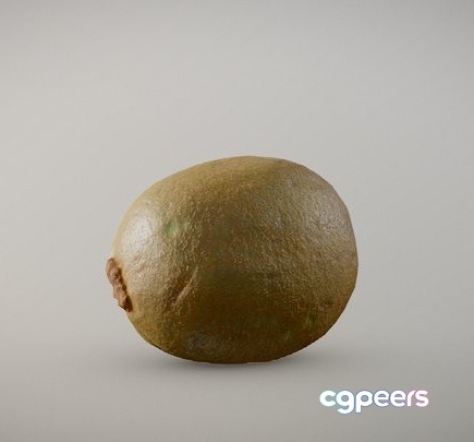 3D Game Assets - Chile's Kiwi 3D Game Assets - Chile's Kiwi