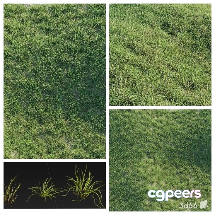 The Main Subject Is A Grassy Field With One Key Characteristic Being Its 3D Model - 22734 - VRAY Render