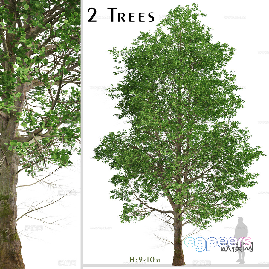 Trees 3D Model - 13317 - VRAY Render Trees 3D Model - 13317 - VRAY Render