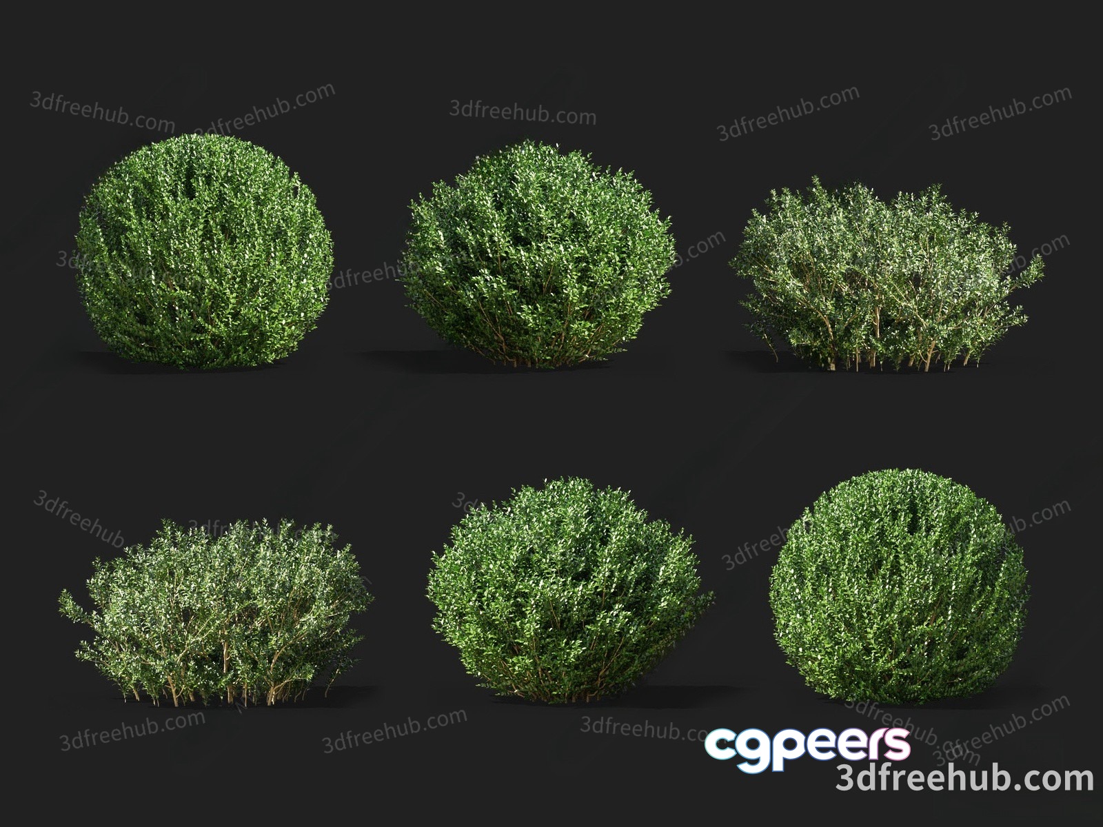 Bushes. The Image Shows A Collection Of Green Bushes 3D Model - 19645 - VRAY Render