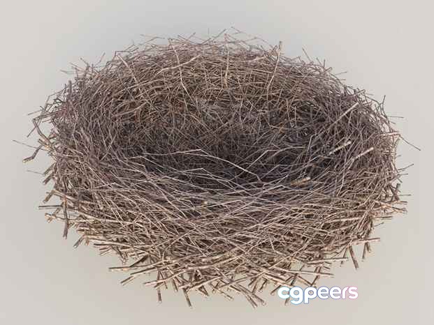 A Bird'S Nest Made Of Twigs 3D Model - 11797 - VRAY Render A Bird'S Nest Made Of Twigs 3D Model - 11797 - VRAY Render