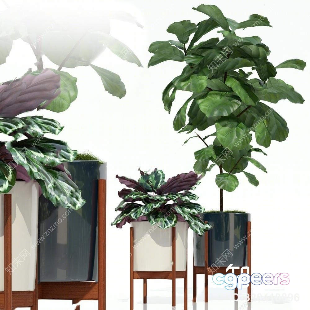 Modern Houseplants 3D Model - 677 - VRAY Render