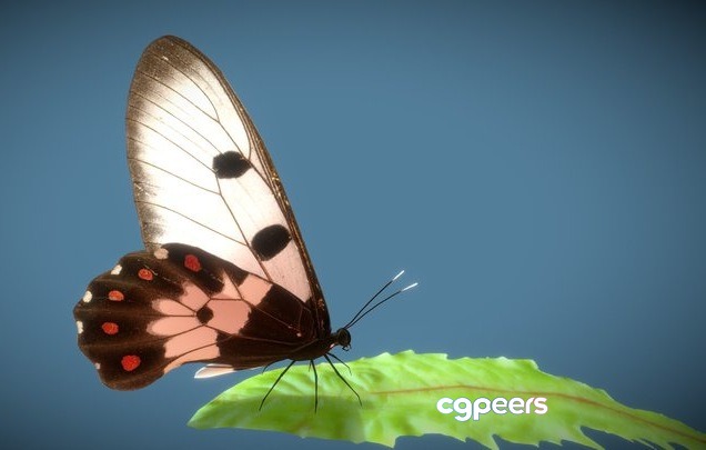 3D Game Assets - Animated Butterfly Pack (10 Wing Colors) 3D Game Assets - Animated Butterfly Pack (10 Wing Colors)