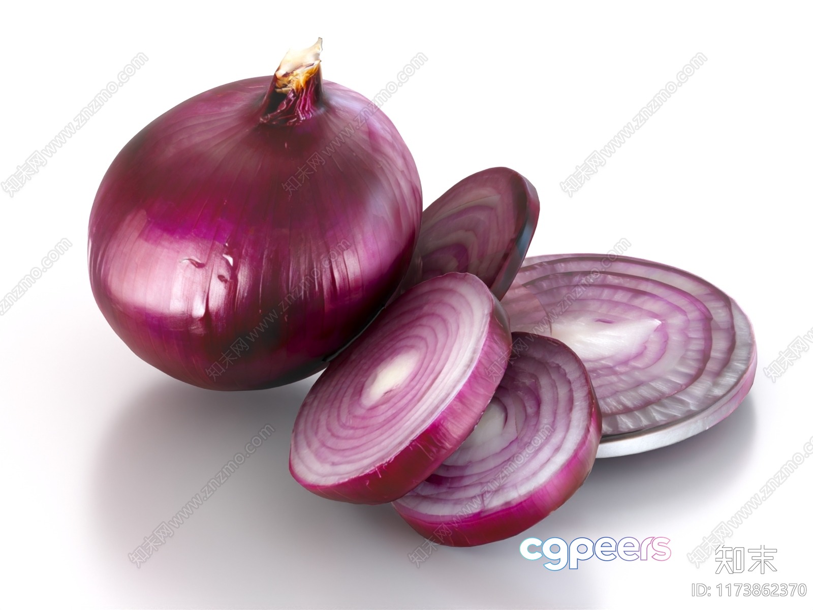 A Red Onion 3D Model - 12749 - VRAY Render A Red Onion 3D Model - 12749 - VRAY Render
