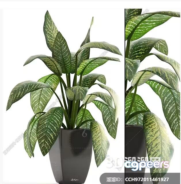 A Potted Plant With Green Leaves 3D Model - 469 - VRAY Render