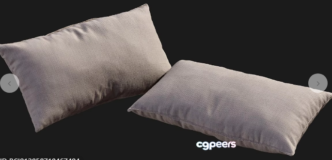Two Beige Pillows 3D Model - 4477 - VRAY Render