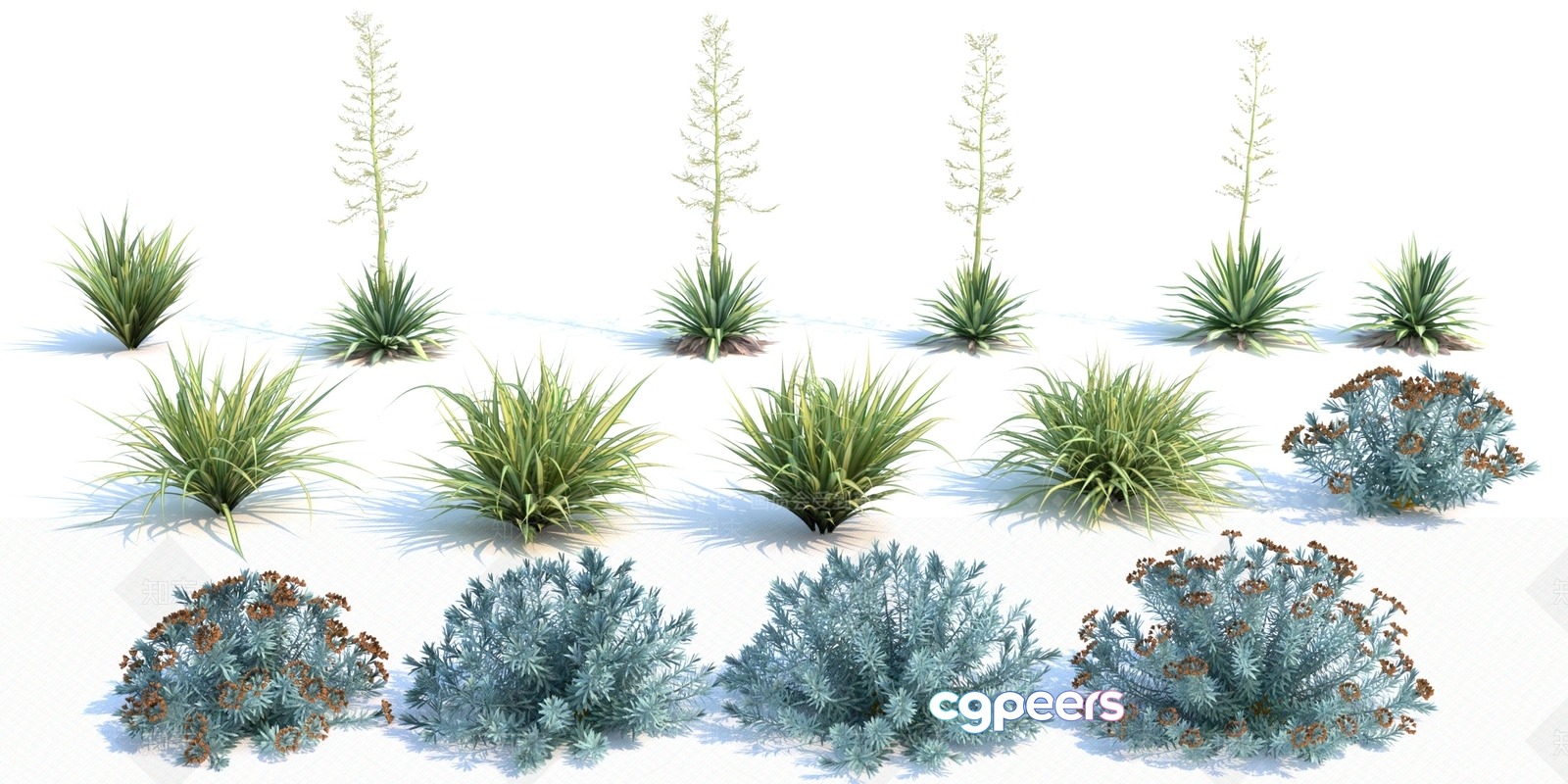 Desert Plants 3D Model - 11696 - VRAY Render Desert Plants 3D Model - 11696 - VRAY Render