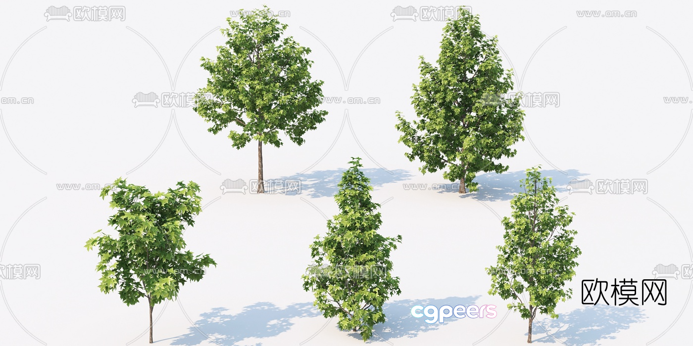 Trees With Green Leaves 3D Model - 16359 - VRAY Render