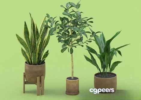 Potted Plants 3D Model - 3319 - VRAY Render Potted Plants 3D Model - 3319 - VRAY Render