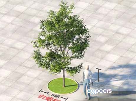 A Person Standing Next To A Tree 3D Model - 22771 - VRAY Render