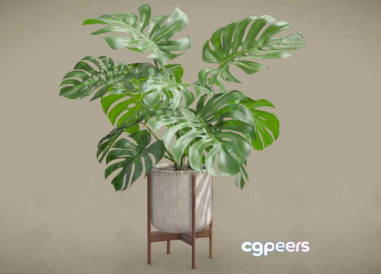 A Plant In A Pot 3D Model - 2217 - VRAY Render