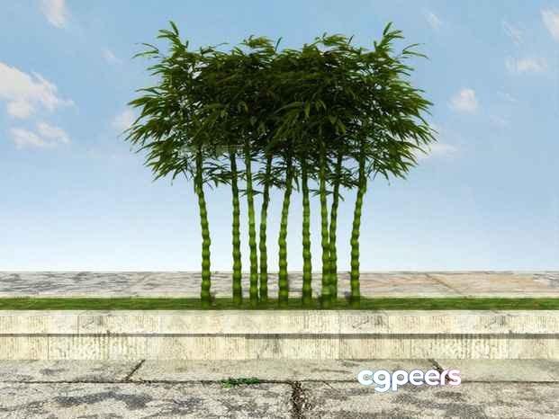 A Cluster Of Bamboo Trees 3D Model - 9759 - VRAY Render A Cluster Of Bamboo Trees 3D Model - 9759 - VRAY Render