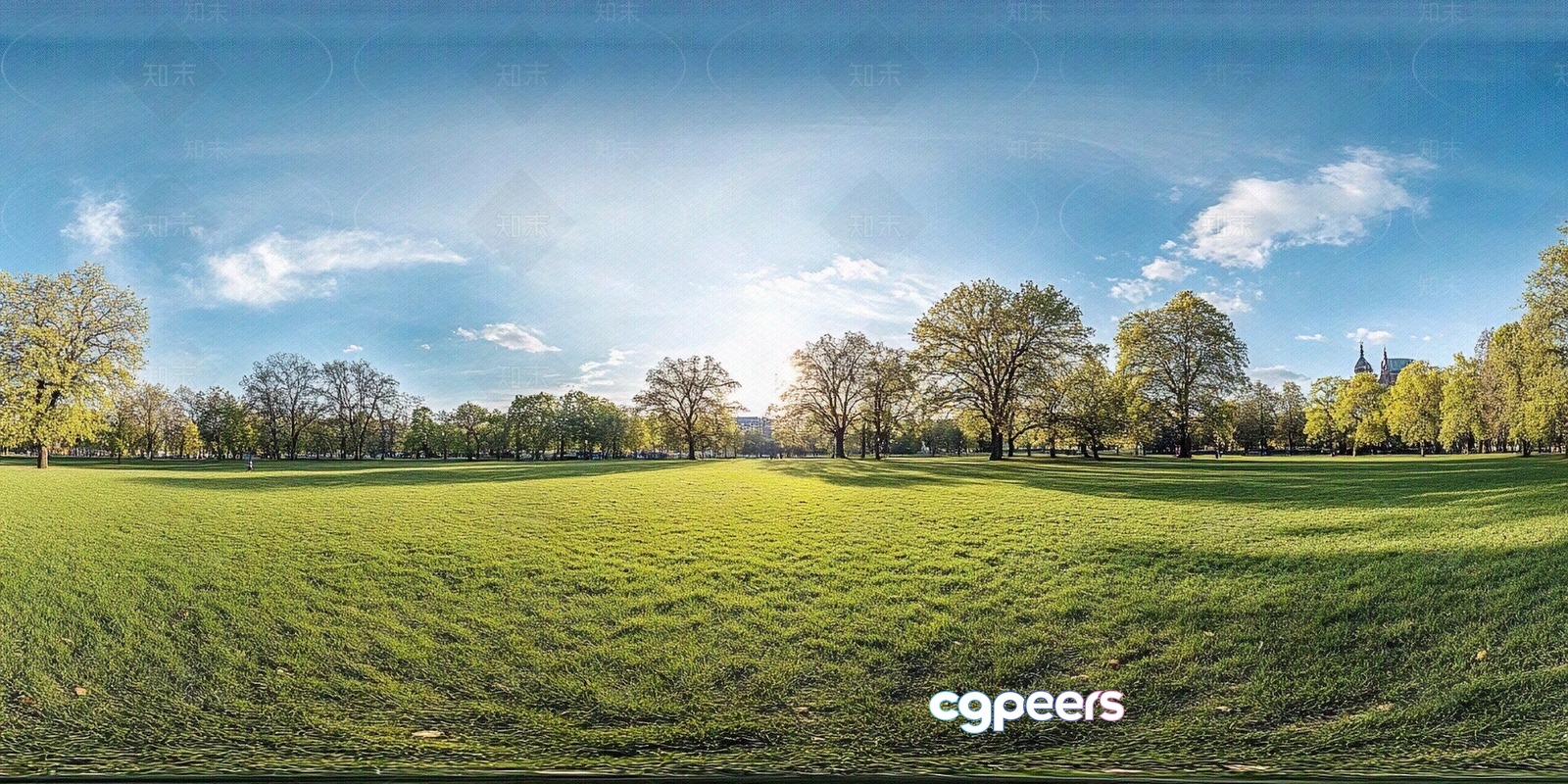 A Large Grassy Field 3D Model - 7682 - VRAY Render A Large Grassy Field 3D Model - 7682 - VRAY Render