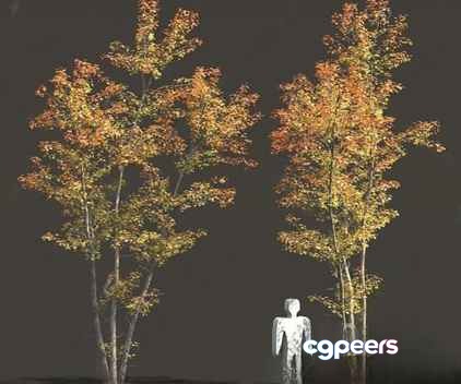 A White Human Figure Standing Between Two Trees 3D Model - 642 - VRAY Render A White Human Figure Standing Between Two Trees 3D Model - 642 - VRAY Render