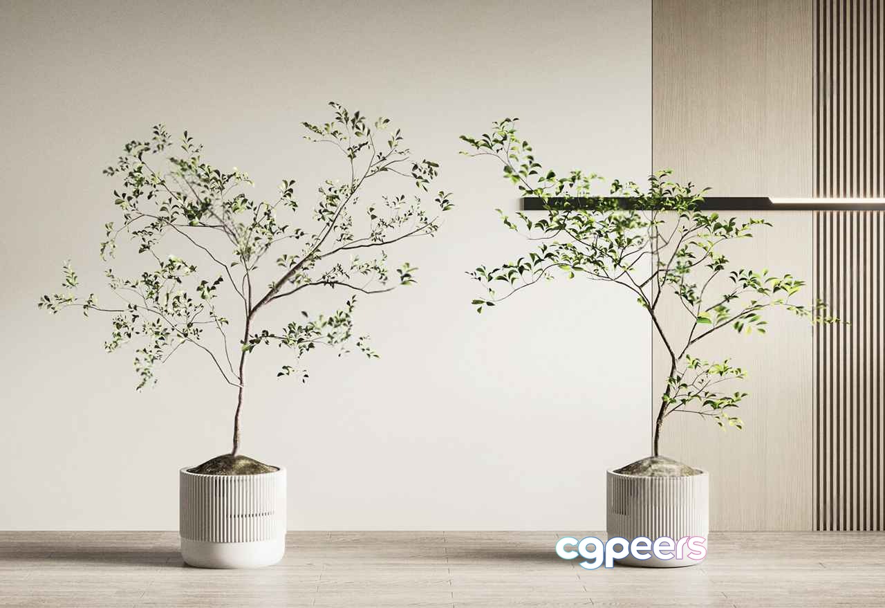 Two Potted Trees 3D Model - 7218 - CORONA Render
