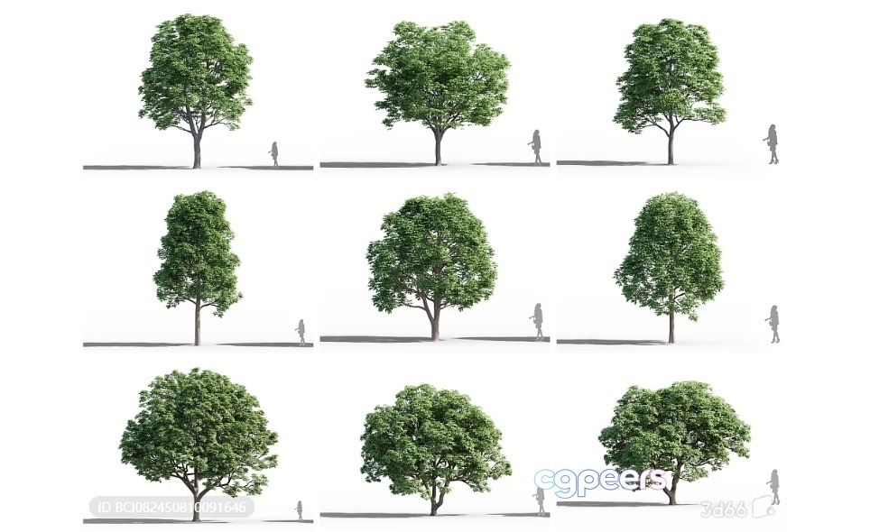 Trees With People Walking Around Them 3D Model - 8834 - VRAY Render