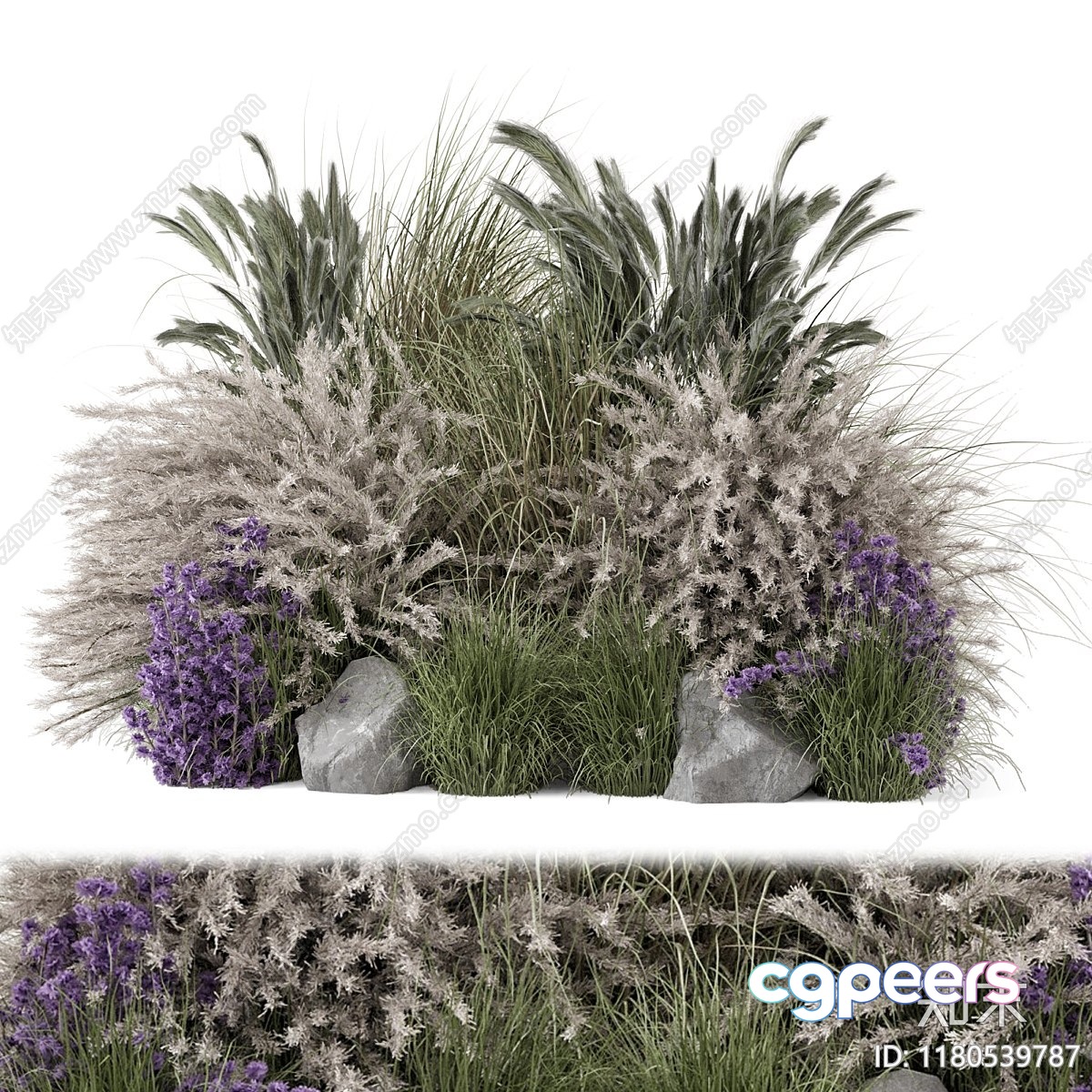 A Grassy Garden 3D Model - 11216 - VRAY Render