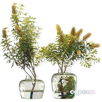 Two Glass Vases 3D Model - 144 - VRAY Render