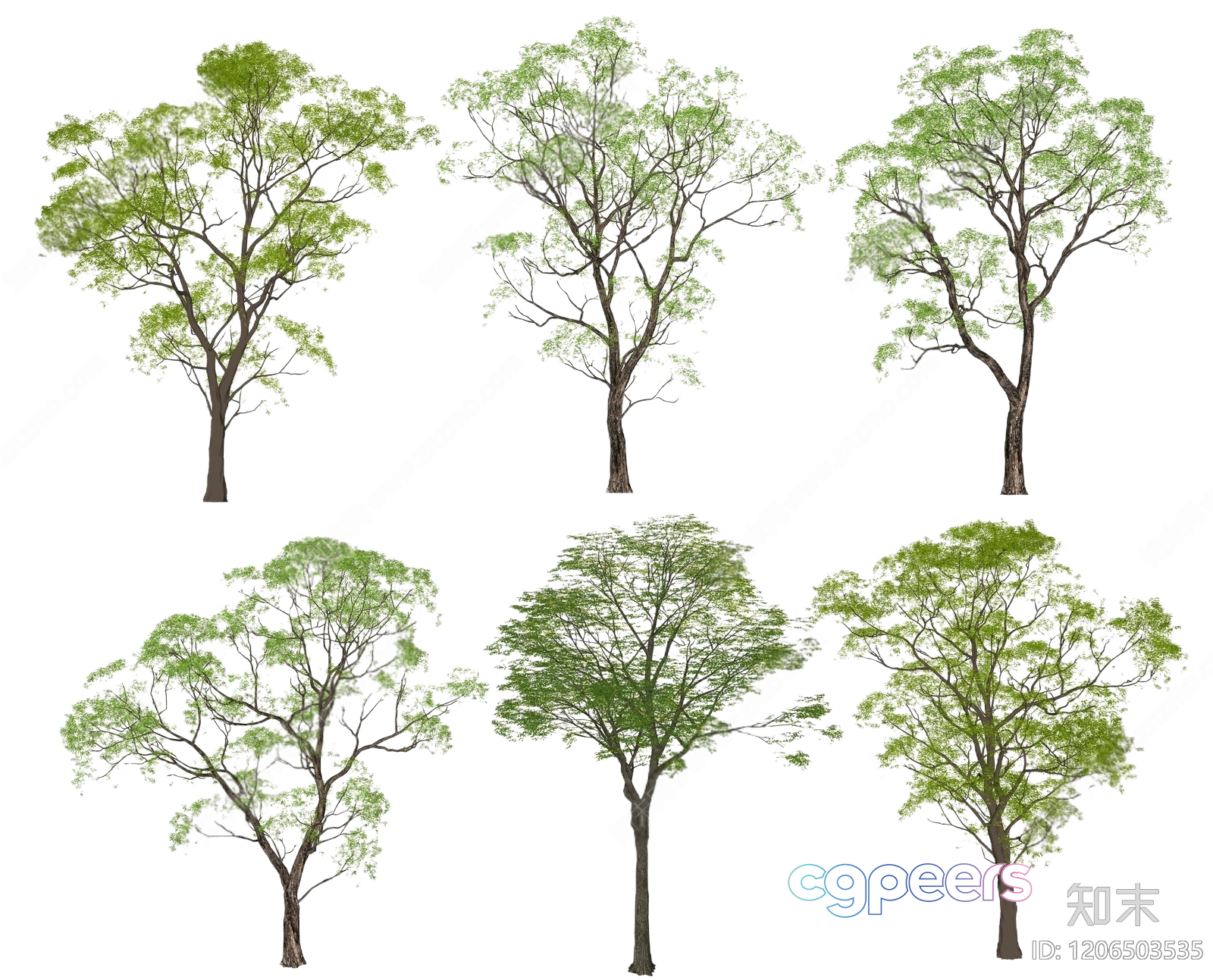 Tree Illustrations 3D Model - 6354 - VRAY Render