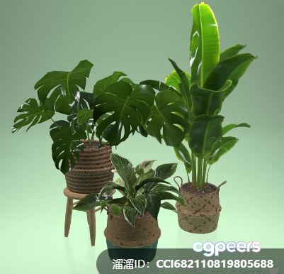 Three Potted Plants 3D Model - 8790 - VRAY Render Three Potted Plants 3D Model - 8790 - VRAY Render