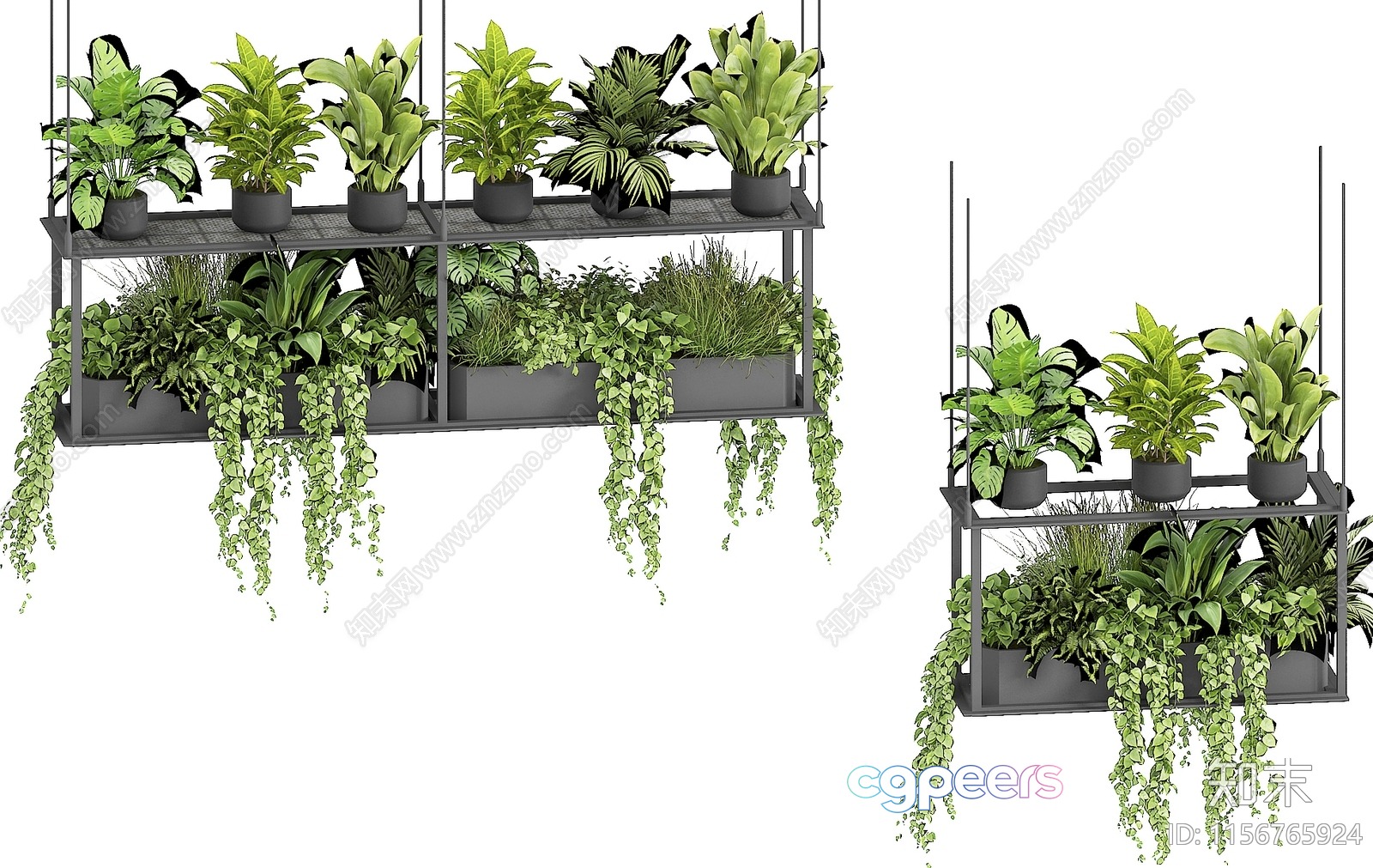 Green Plants On Shelves 3D Model - 9474 - VRAY Render