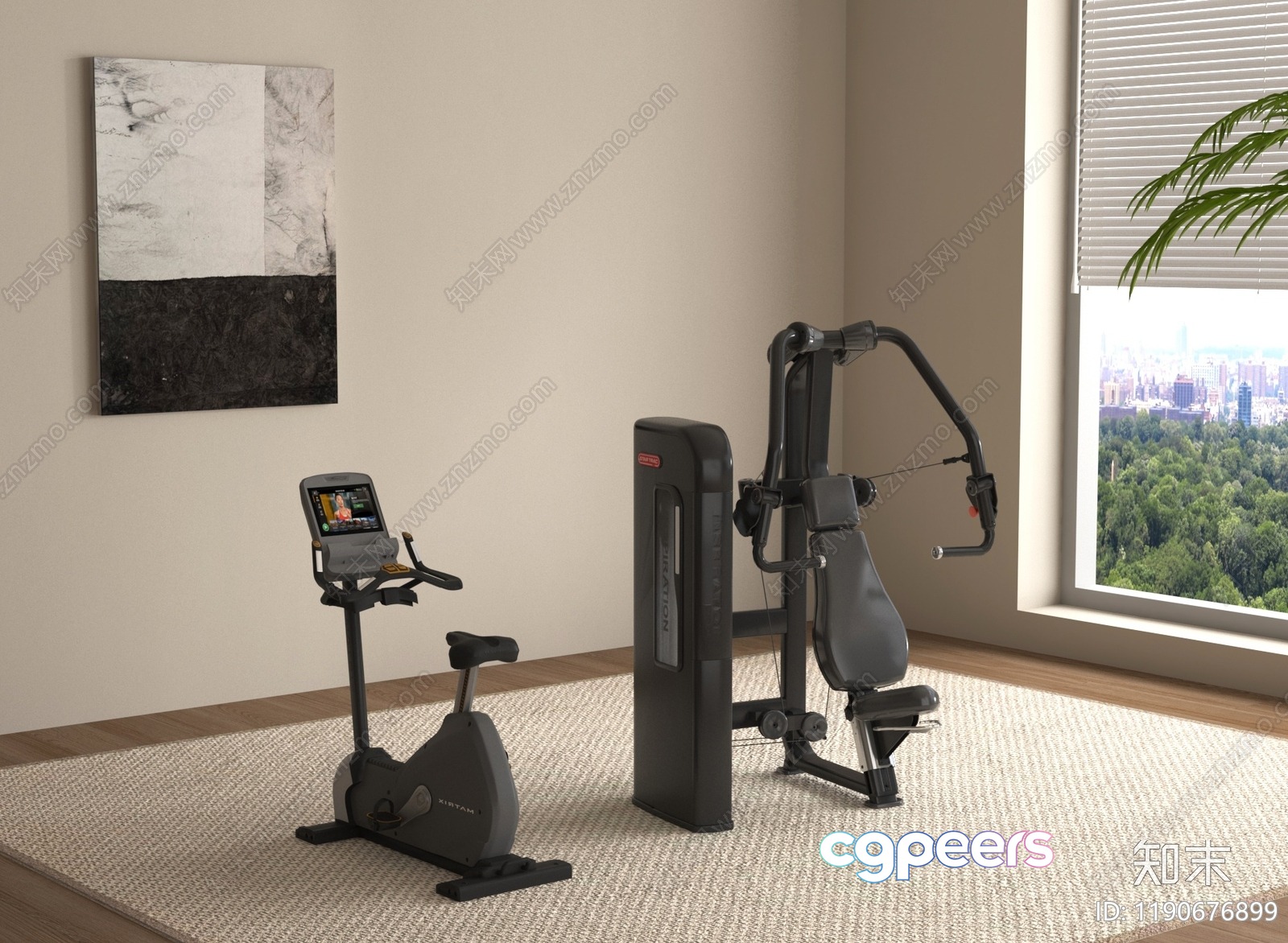 A Home Gym Setup 3D Model - 1640 - VRAY Render A Home Gym Setup 3D Model - 1640 - VRAY Render