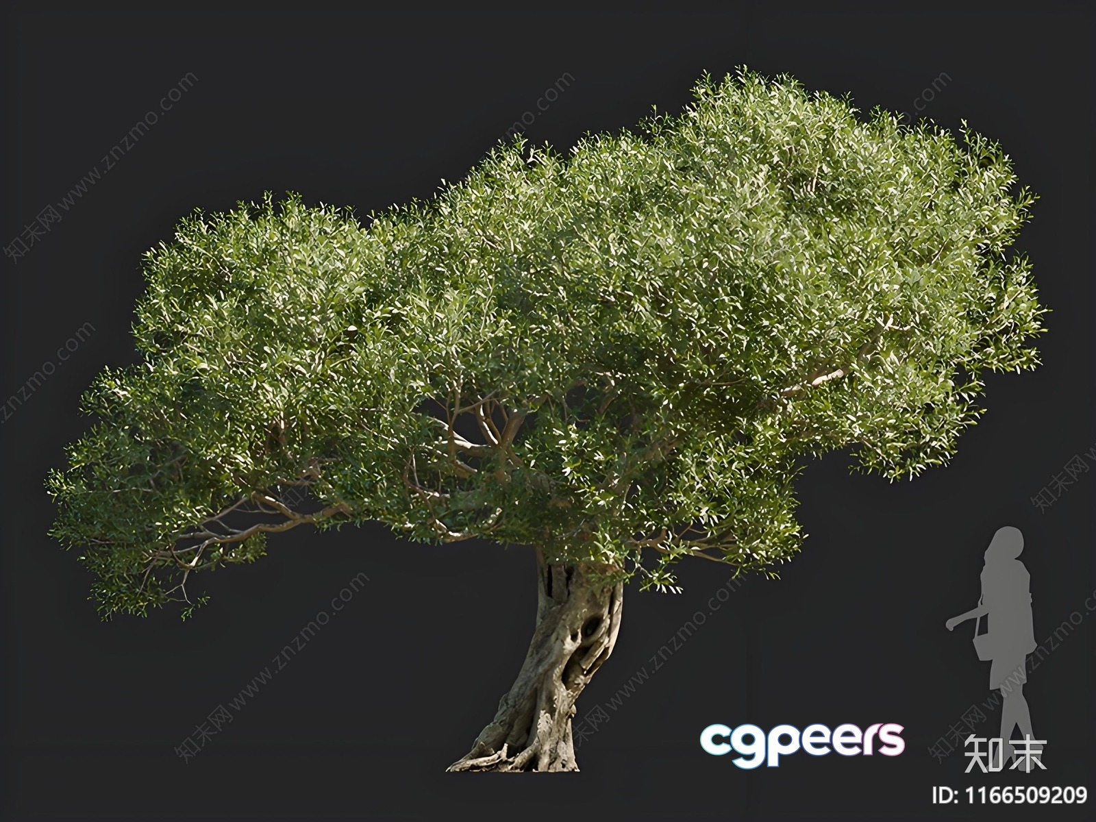 A Tree With A Trunk And Branches 3D Model - 16470 - CORONA Render