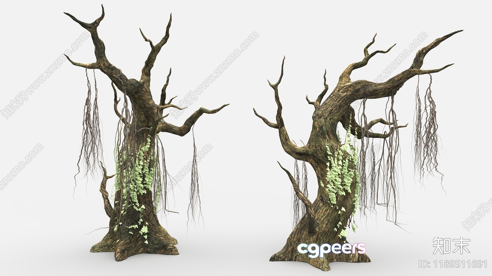 A Pair Of Old Trees With Vines 3D Model - 11429 - VRAY Render