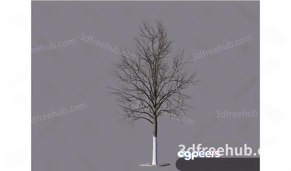A Bare Tree With A White Trunk 3D Model - 18739 - VRAY Render A Bare Tree With A White Trunk 3D Model - 18739 - VRAY Render