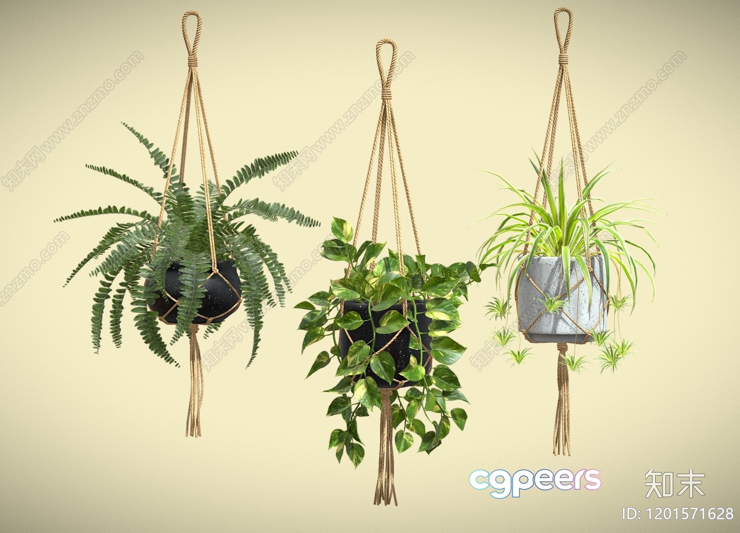 Three Hanging Plants 3D Model - 21427 - VRAY Render Three Hanging Plants 3D Model - 21427 - VRAY Render