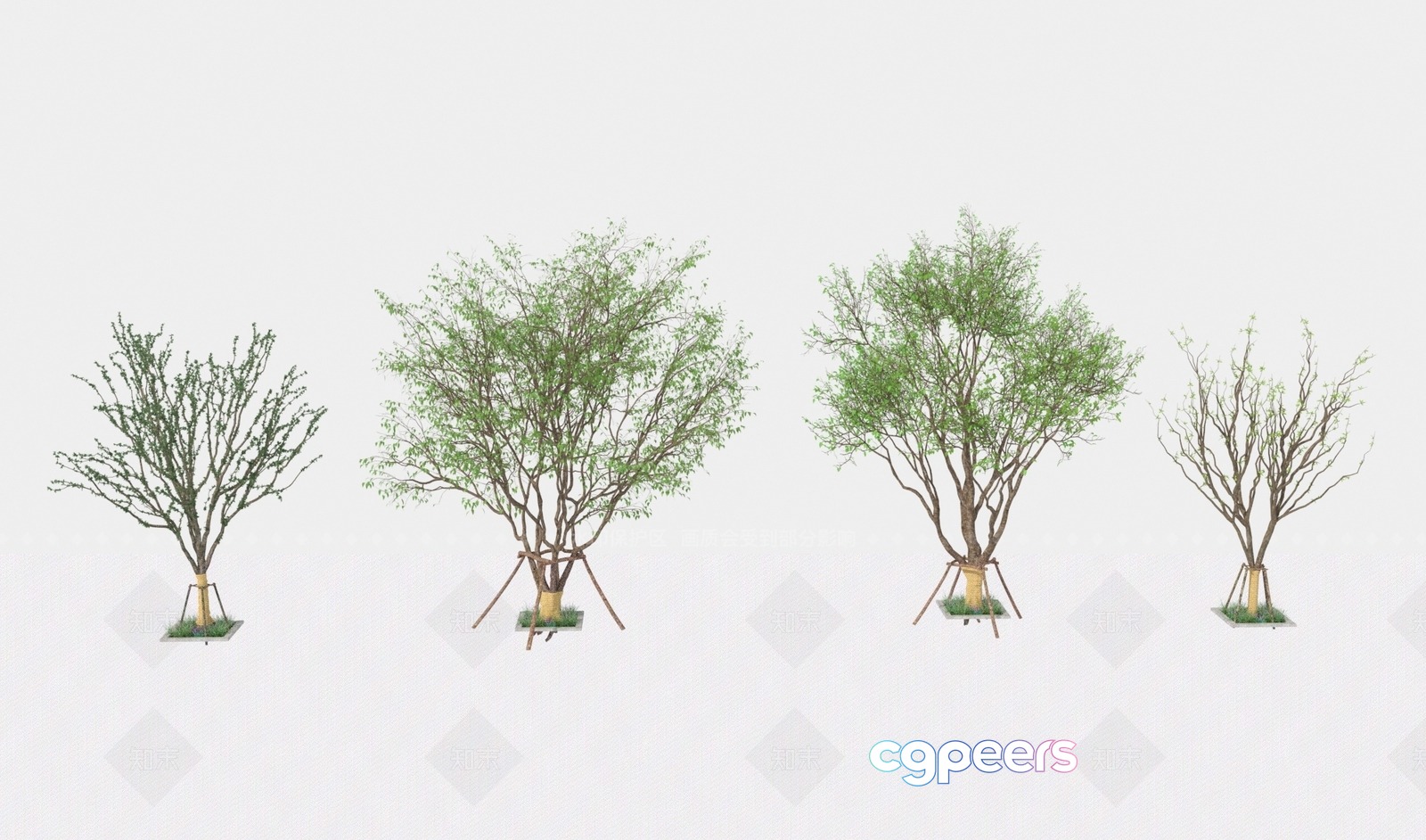 A Collection Of Four Trees 3D Model - 17402 - VRAY Render A Collection Of Four Trees 3D Model - 17402 - VRAY Render