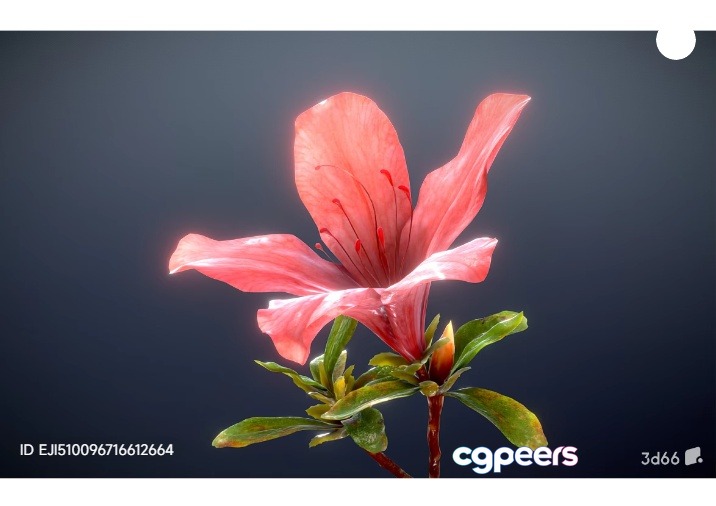 Pink Flower With Green Leaves 3D Model - 6679 - VRAY Render