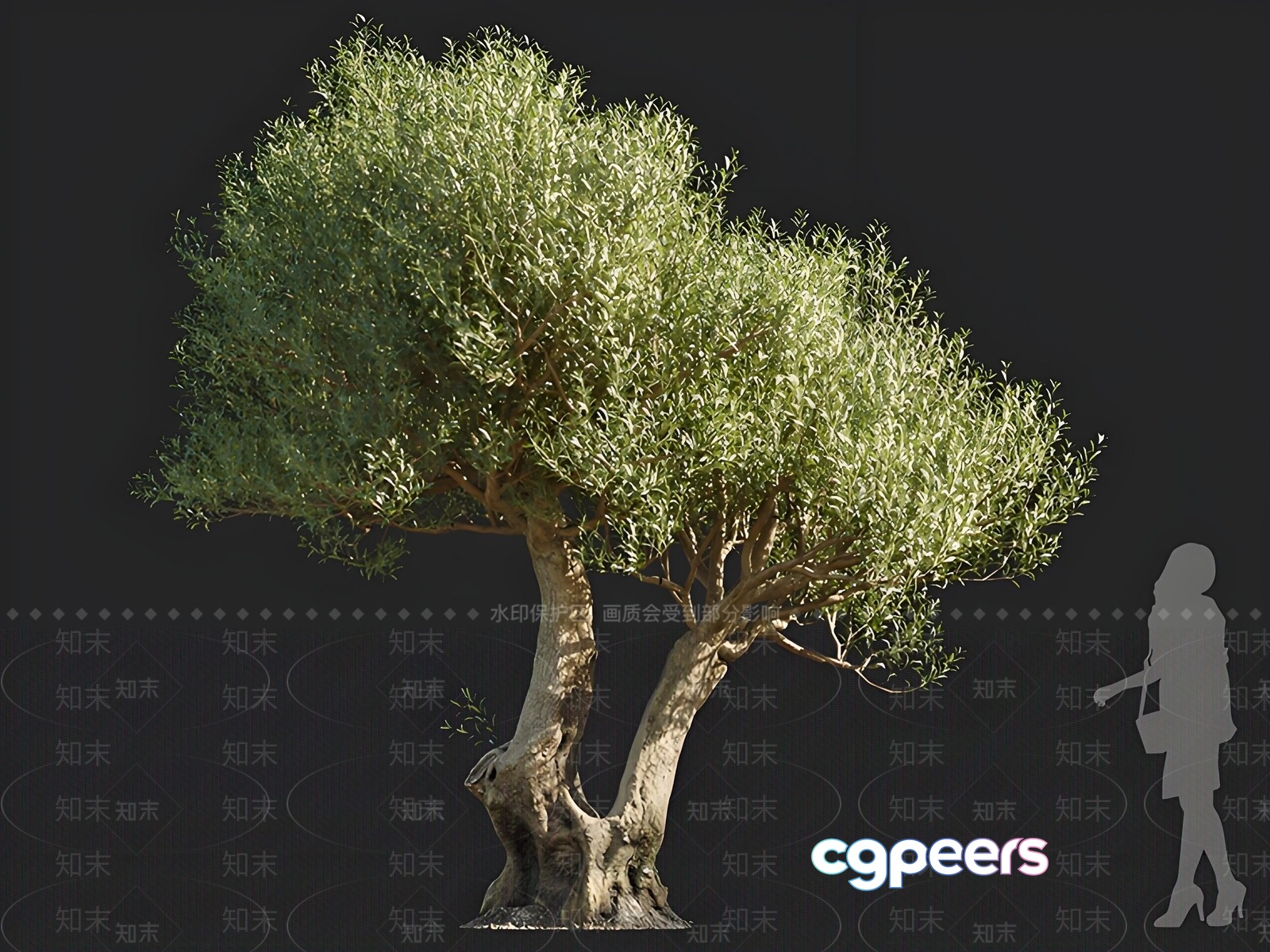 A Tree With A Large Green Canopy 3D Model - 15042 - CORONA Render