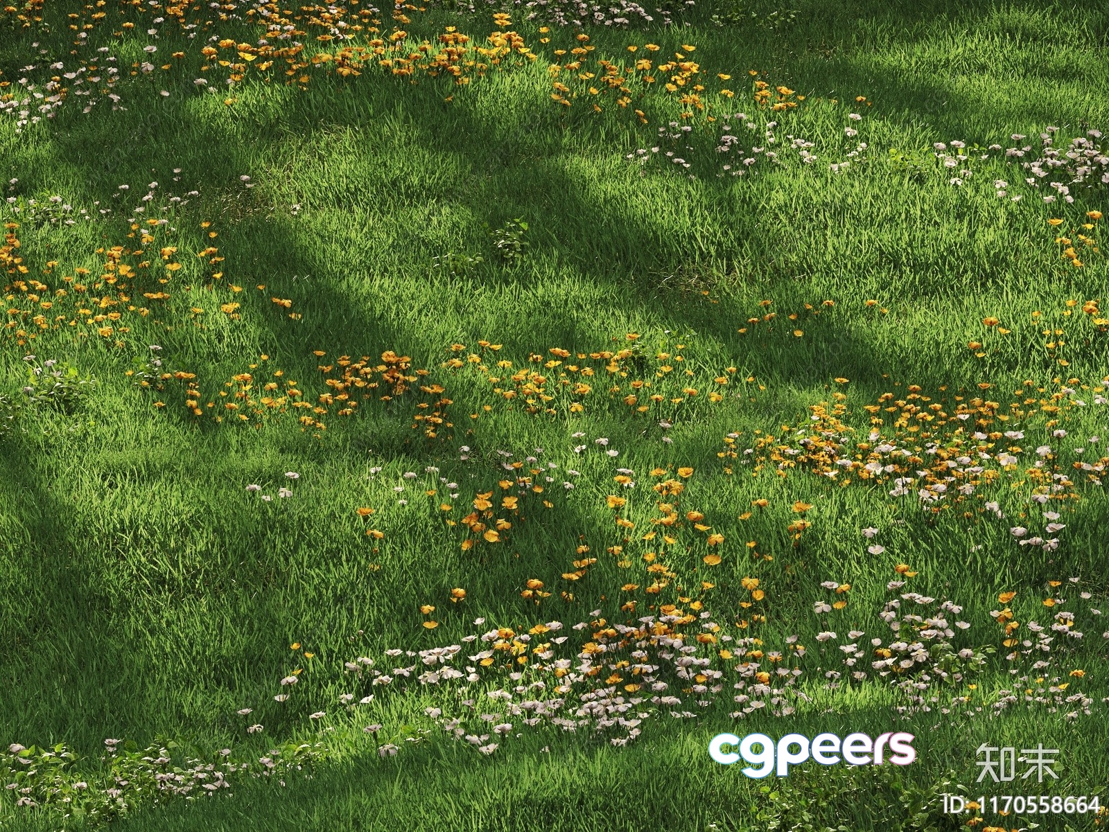 A Field Of Wildflowers 3D Model - 11344 - CORONA Render A Field Of Wildflowers 3D Model - 11344 - CORONA Render